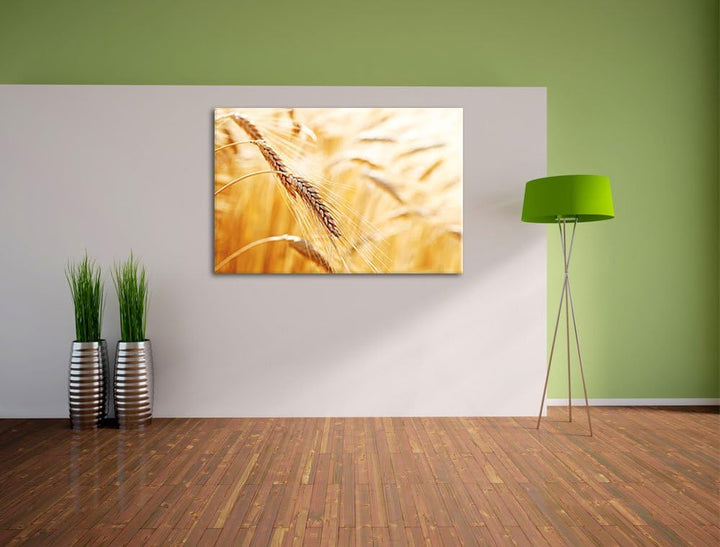 Weizen auf dem Feld Format: 100x70 auf Leinwand, XXL riesige Bilder fertig gerahmt mit Keilrahmen, K