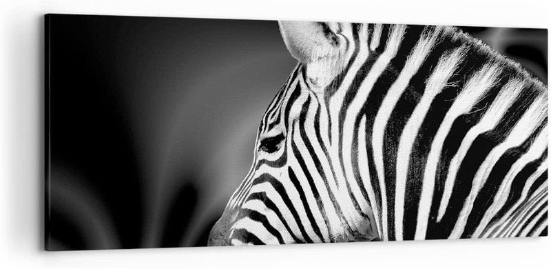 Wandbilder Dekoration Wohnzimmer Tier Zebra Streifen Panorama Bilder auf Leinwand 120x50cm Leinwandb