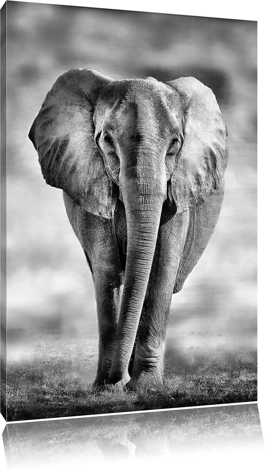 Pixxprint Elefant in Savanne als Leinwandbild/Grösse: 100x70 cm/Wandbild/Kunstdruck/fertig bespannt,