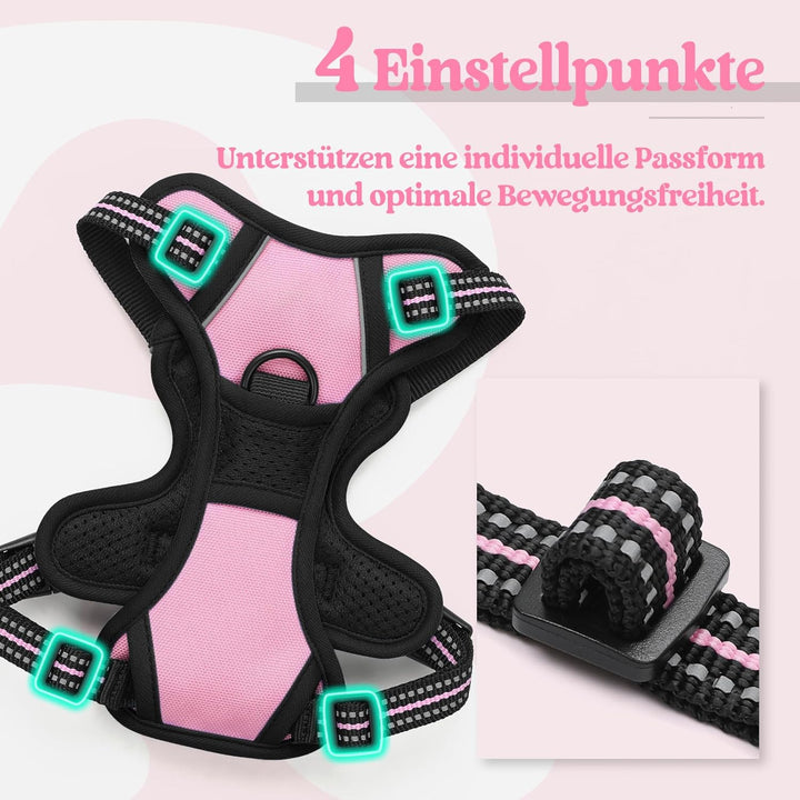 rabbitgoo Hundegeschirr Kleine Hunde Anti Zug Geschirr Hund mit Kontrolle No Pull Verstellbar Hundeg