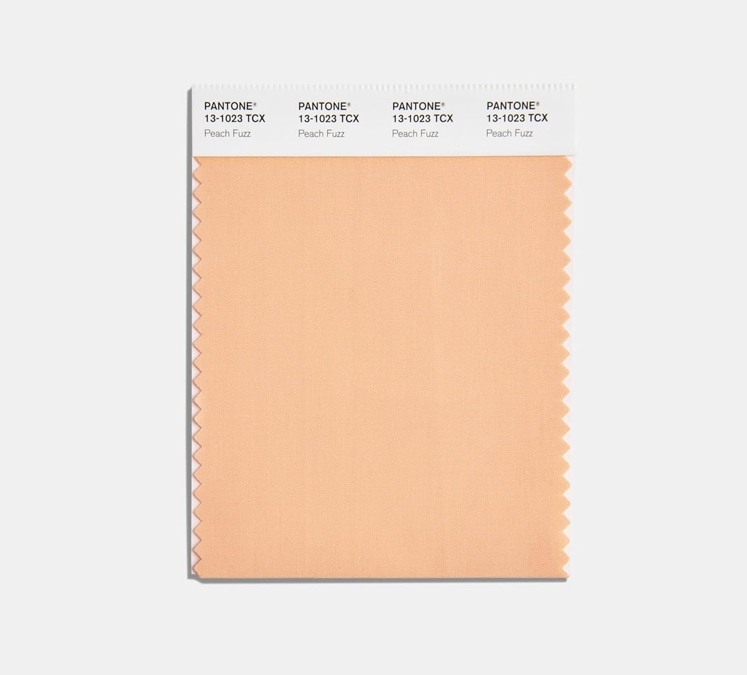 Pantone Limitierte Ausgabe: FHI Color Guide mit Color of the Year 2024