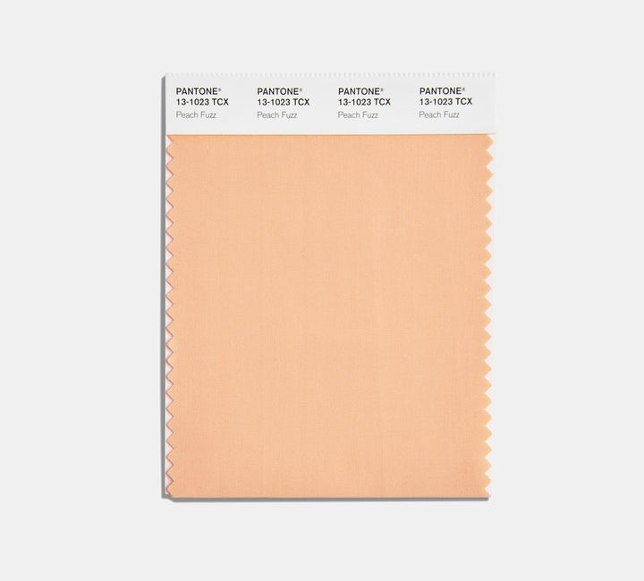 Pantone Limitierte Ausgabe: FHI Color Guide mit Color of the Year 2024