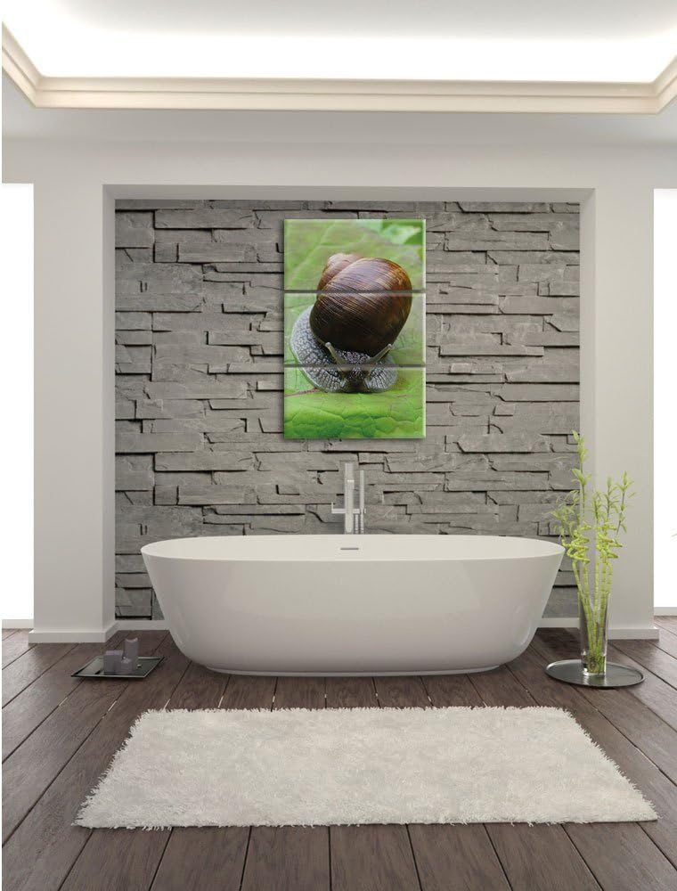 Pixxprint Weinbergschnecke auf Blatt 3-Teiler Leinwandbild 120x80 Bild auf Leinwand