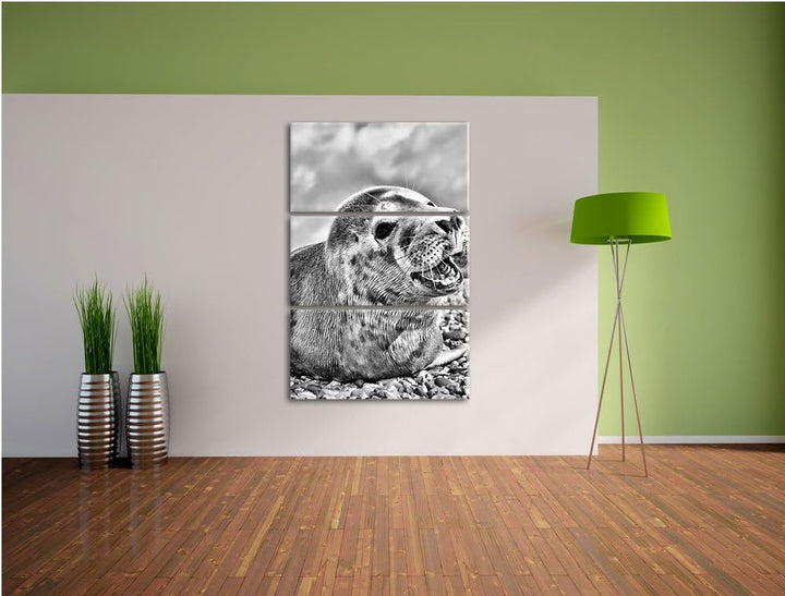 Pixxprint Süsse Robbe auf Steinstrand als Leinwandbild/Grösse: 3 Teilig (120x80) cm/Wandbild/Kunstdr