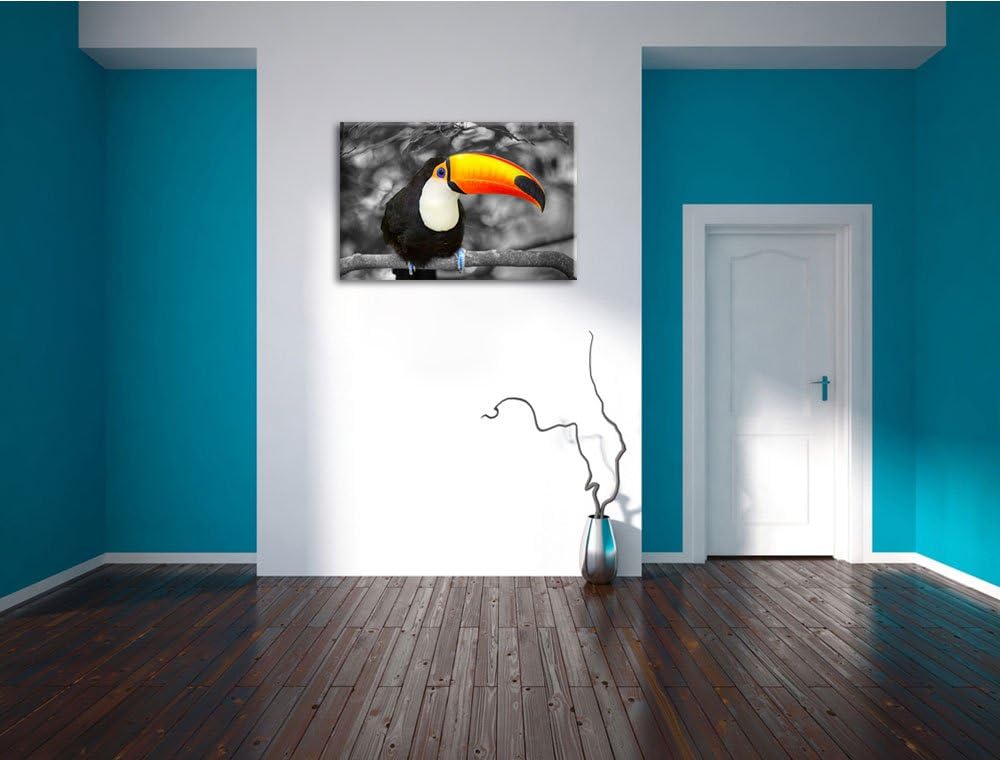 prachtvoller exotischer Tukan schwarz/weiss Format: 100x70 auf Leinwand, XXL riesige Bilder fertig g