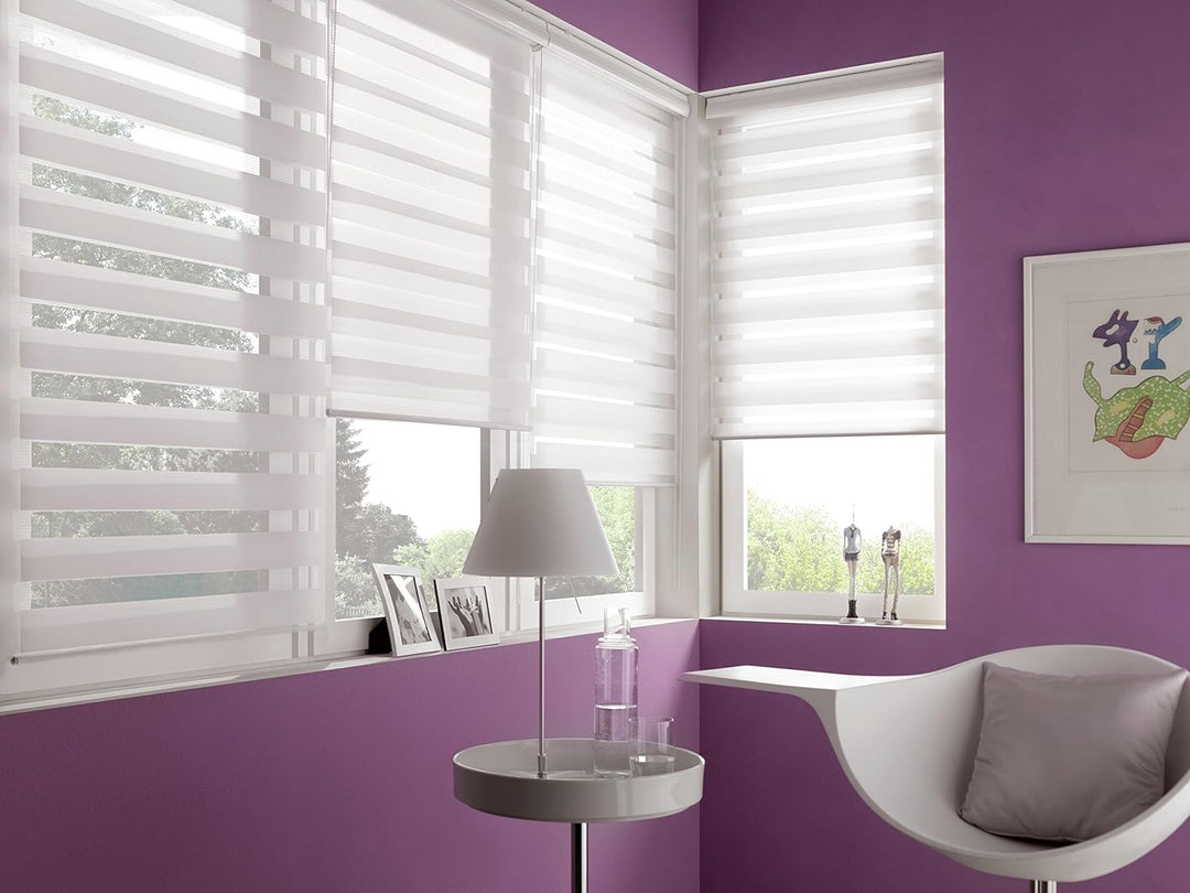 GARDINIA Doppelrollo mit Kassette, Duo-Rollo, Seitenzugrollo, Transparente und blickdichte Streifen,