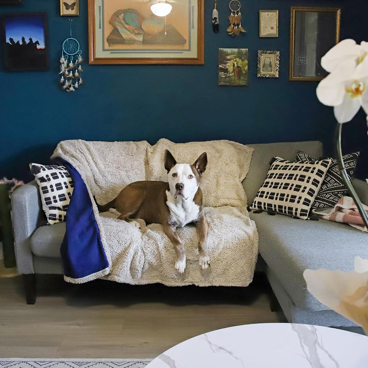 Kritter Planet wasserdichte Hundedecke, Urindichte Haustierdecke für Couchbett Welpen Katzen Fleece