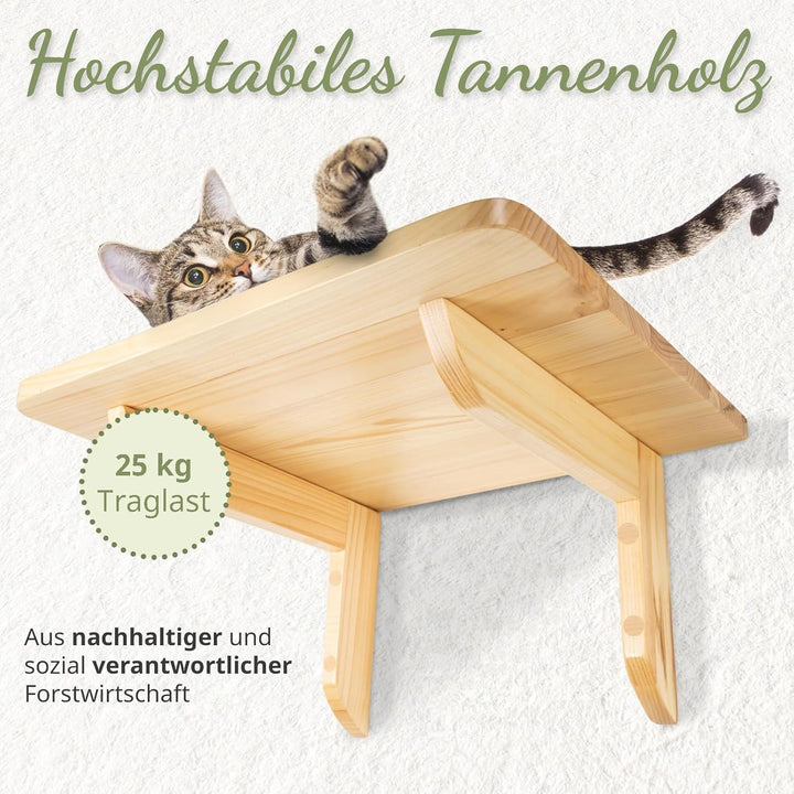 WOOWOOD® Kletterwand Katzen inkl. 2X Katzentreppe Wand [aus Europa] I Kratzbaum Wand I katzenhängema