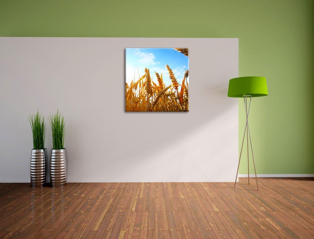 Getreide im Sonnenschein, Format: 70x70 auf Leinwand, XXL riesige Bilder fertig gerahmt mit Keilrahm