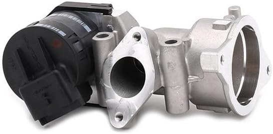 Delphi EG10395-12B1 Agr-Ventil