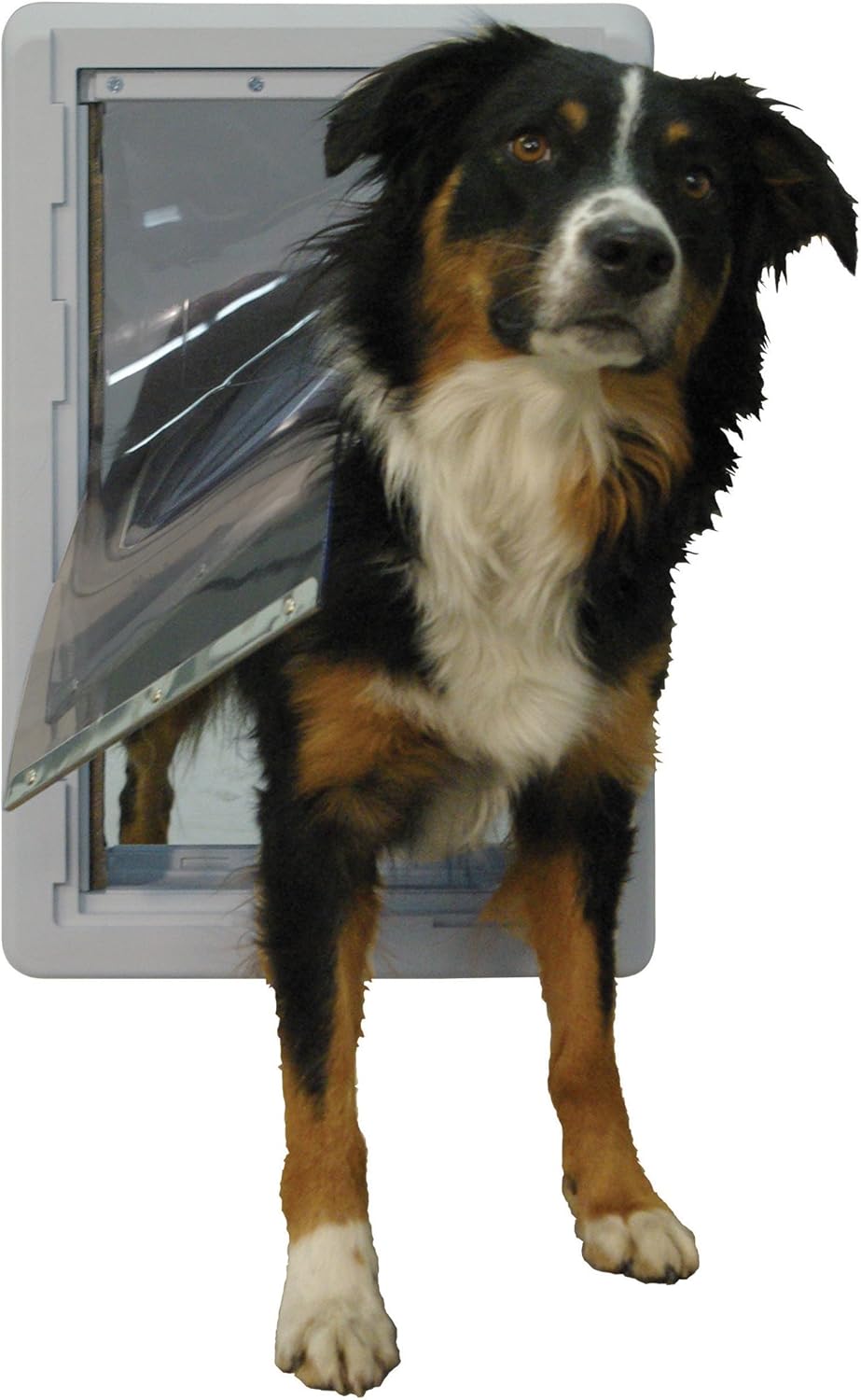 Ideal Pet Products Designer-Serie Ruff-Weather Haustiertür mit Teleskoprahmen, Grösse M, 18,4 x 33 c