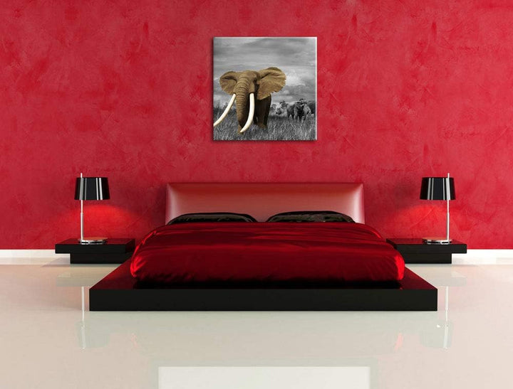 Pixxprint Elefanten in der Savanne als Leinwandbild Quadratisch/Grösse: 70x70 / Wandbild/Kunstdruck/