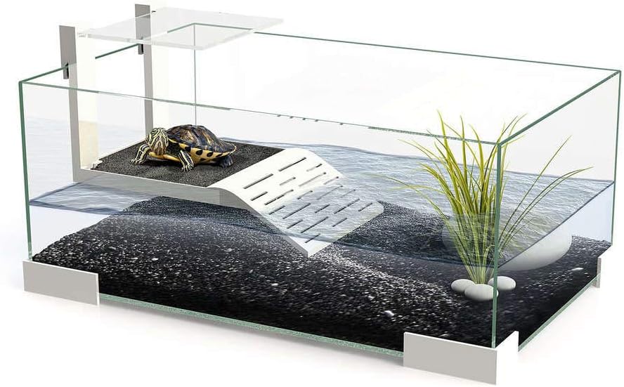 Ciano Tartarium 40 Terrarium - 40 x 25 x 20 cm - Glas - Wit