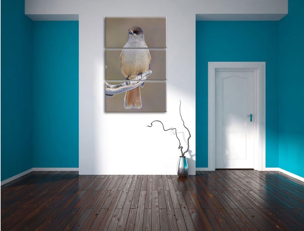 Pixxprint Kleiner Vogel auf AST als Leinwandbild/Grösse: 3 Teilig (120x80) cm/Wandbild/Kunstdruck/fe