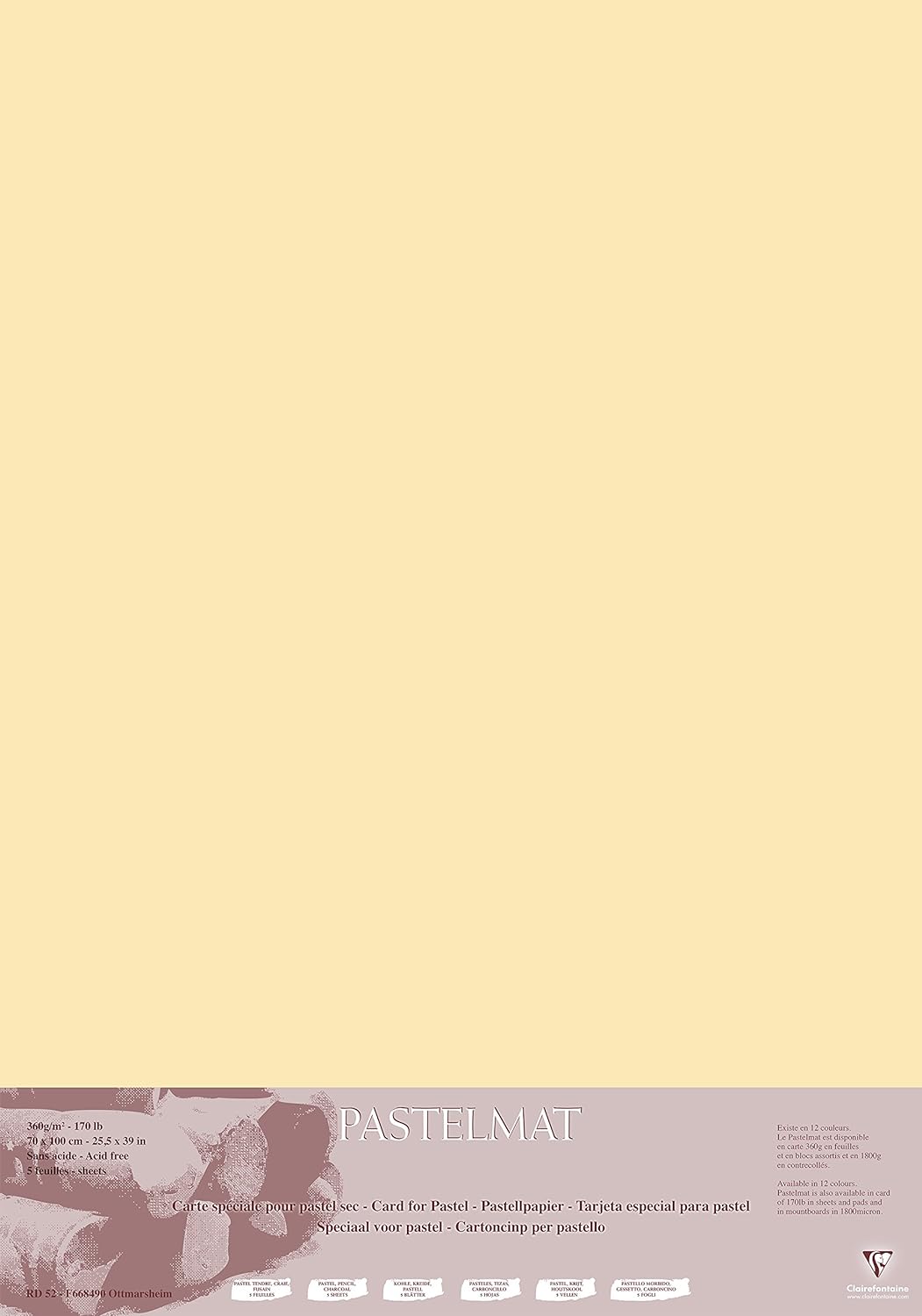 Clairefontaine 296023C Packung (mit 5 Zeichenbögen Pastelmat, 70 x 100 cm, 360 g, ideal für Trockent