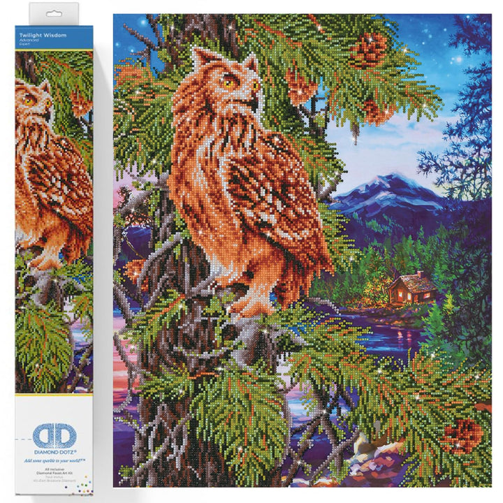 Diamond Dotz DD12-025 Eule, ca. 47 x 59 cm gross, Diamond Painting, Malen mit Diamanten, funkelndes