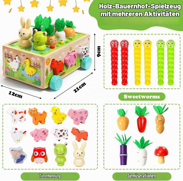 Montessori-Holzspielzeug ab 1 Jahr: Formsortierer Steckspiel &amp; Motorikspielzeug für Jungen &amp; Mädchen