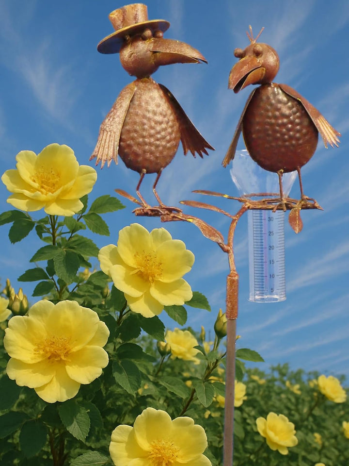 Pommerntraum ® | Regenmesser Niederschlagsmesser Pluviometer Gartenstecker Wetterstation Meisenknöde