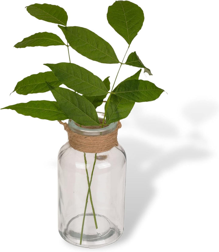 Mini-Vasen Glasflaschen mit Juteschnur kleine Dekoflaschen Blumenvase Deko-Vase Tischvase Väschen Gl