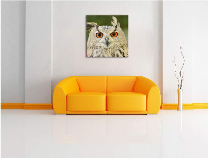 Eulen Kautz Orange Augen, Format: 70x70 auf Leinwand, XXL riesige Bilder fertig gerahmt mit Keilrahm