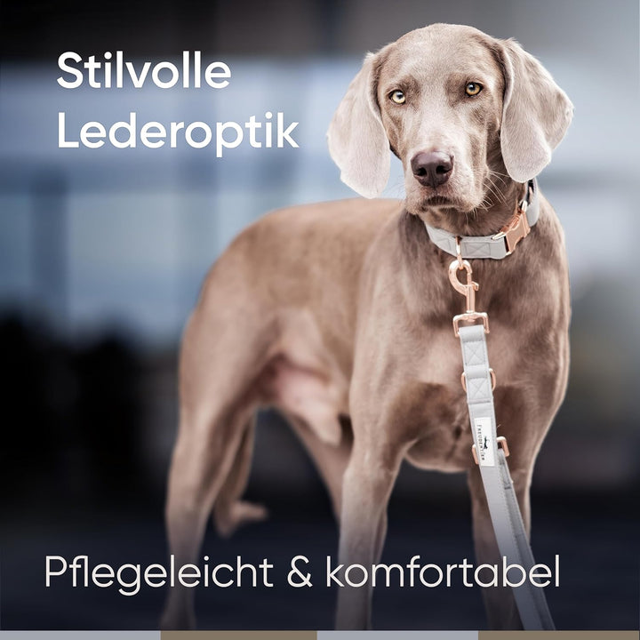 FREUDENTIER® Hundehalsband und Hundeleine (2m) aus veganem Leder im Set - Stilvoll und robust - Für