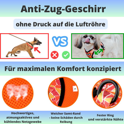 Hundegeschirr für kleine Hunde Welpen und Katzen (3-7,5 kg) Brustgeschirr ohne Zug Gepolstert Atmung