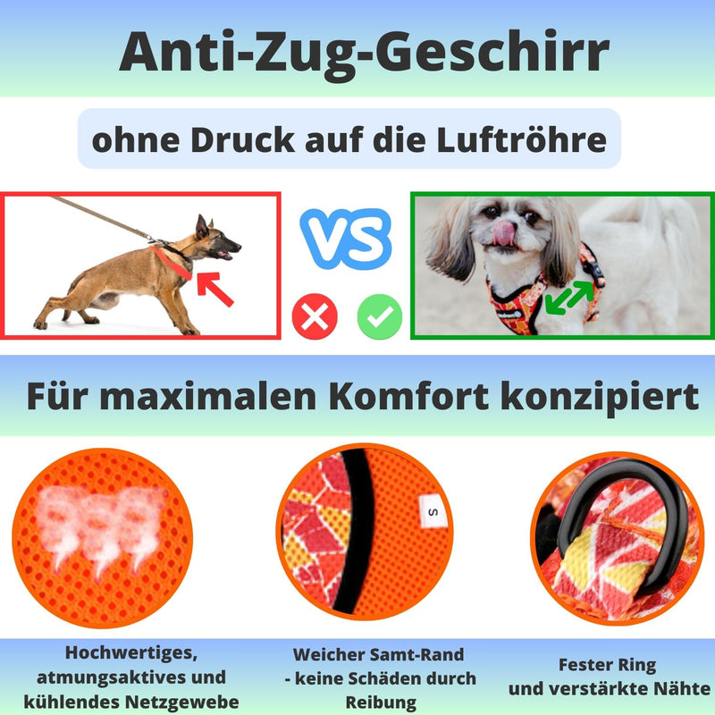 Hundegeschirr für kleine Hunde Welpen und Katzen (3-7,5 kg) Brustgeschirr ohne Zug Gepolstert Atmung