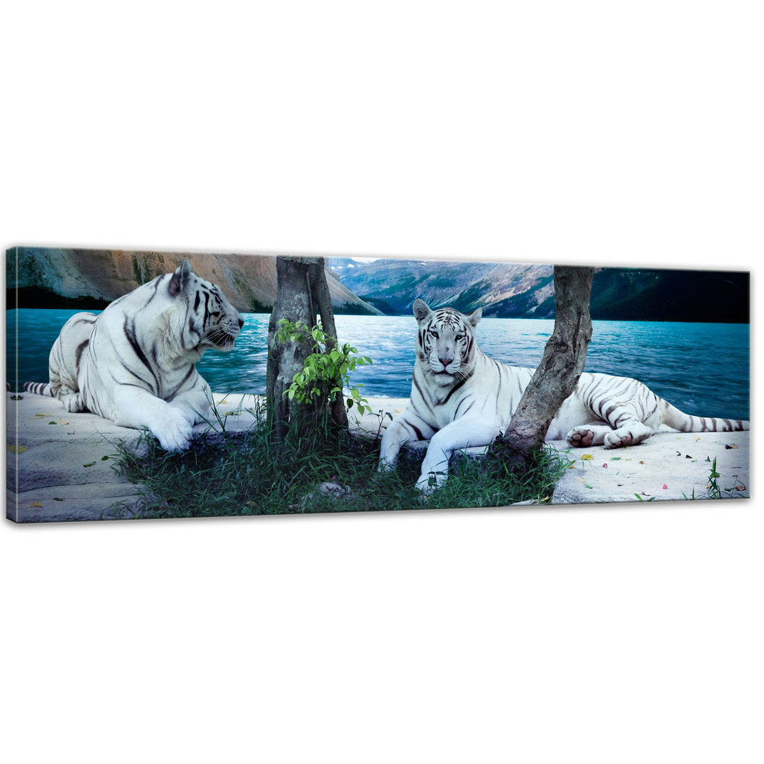 Bilderdepot24 Bild auf Leinwand | Tiger II in 160x50 cm als Panorama Wandbild XXL | Wand-deko Dekora