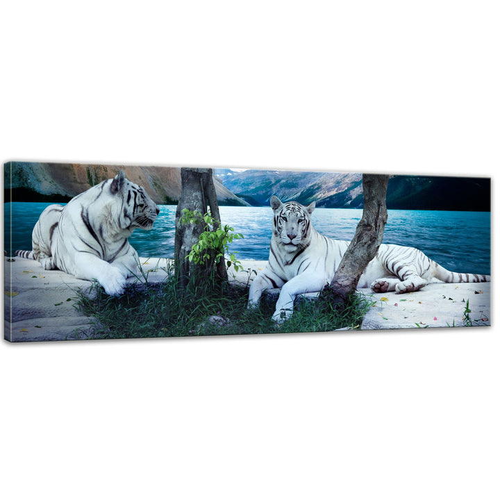 Bilderdepot24 Bild auf Leinwand | Tiger II in 160x50 cm als Panorama Wandbild XXL | Wand-deko Dekora
