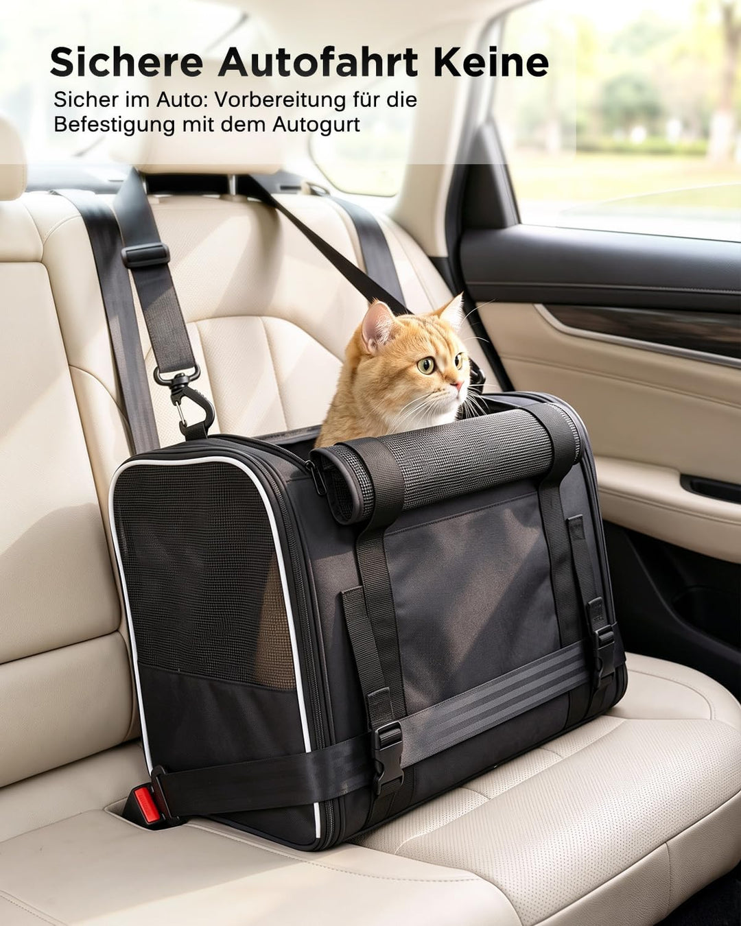Katzentransporttasche faltbar bis 10 kg – Stabile Transportbox für Katzen &amp; kleine Hunde mit Stahlra