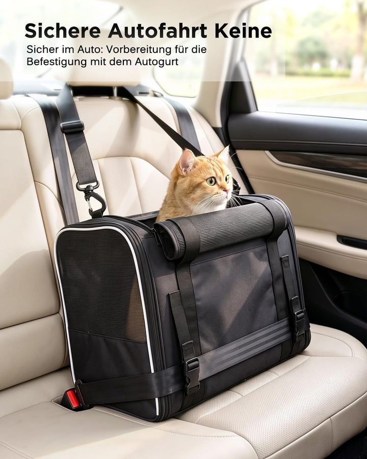 Katzentransporttasche faltbar bis 10 kg – Stabile Transportbox für Katzen &amp; kleine Hunde mit Stahlra