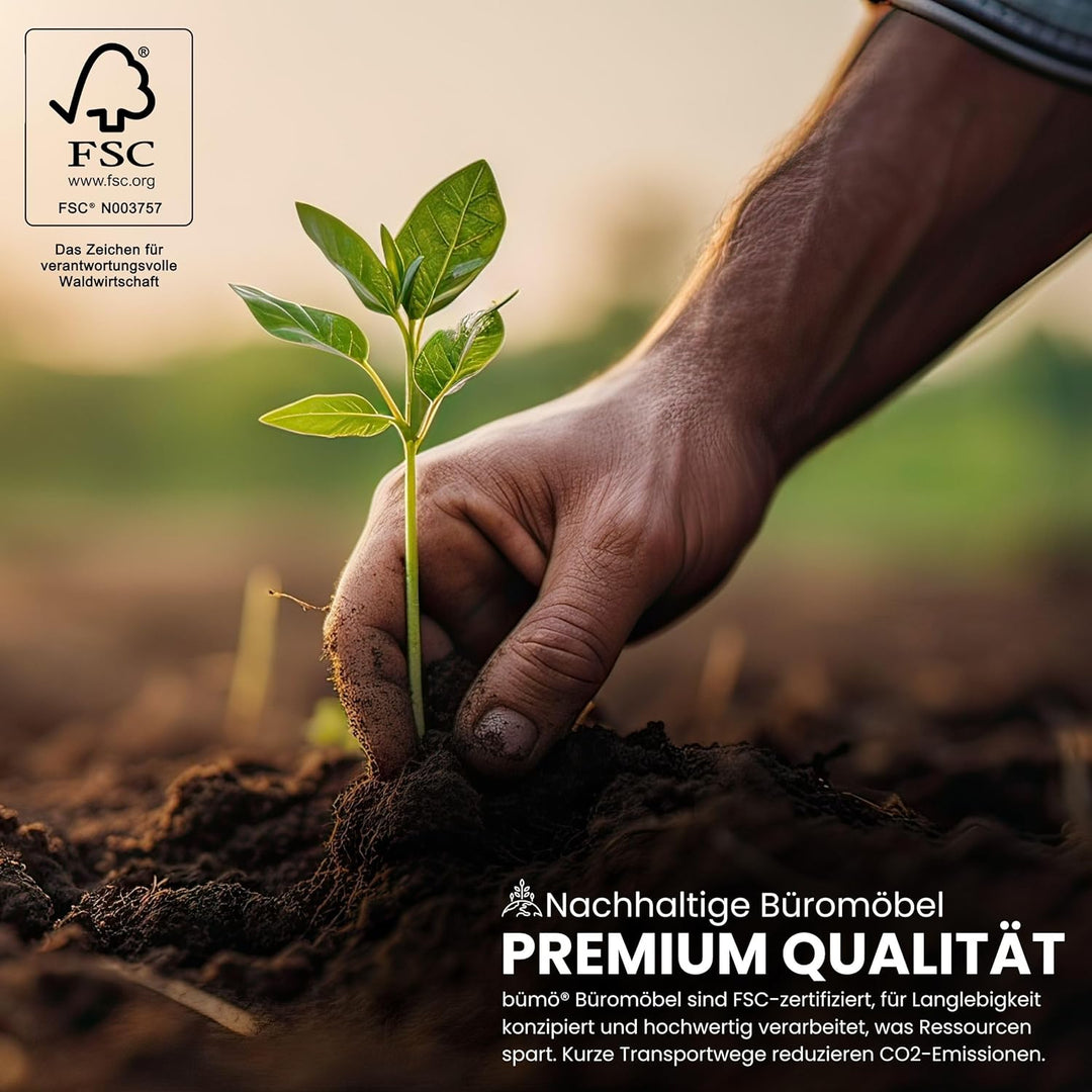 bümö lite Rollcontainer mit Schubladen, Container aus Holz in Ahorn - Rollwagen für's Büro als Schre