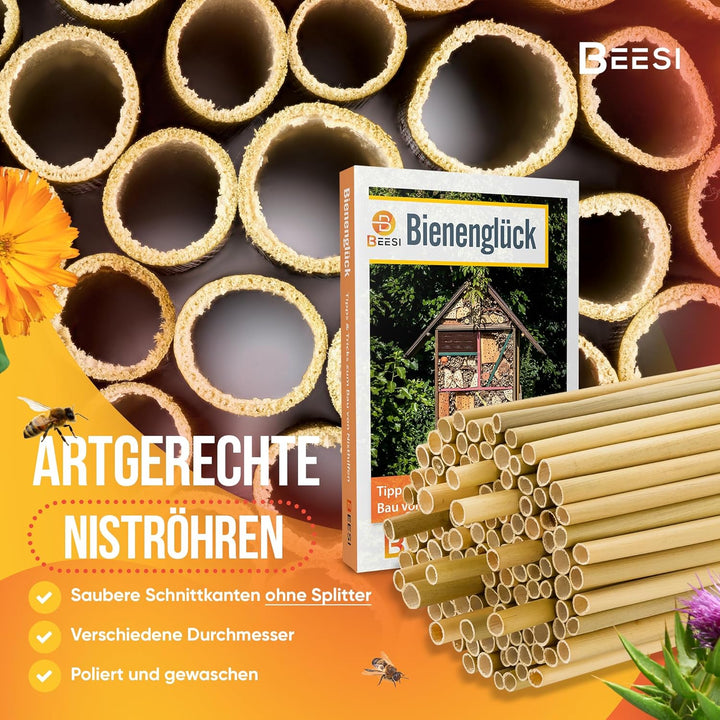 BEESI 500x Bambusgras für Insektenhotel I 14 cm Länge I 3-7mm ⌀ I Füllmaterial Bienenhotel, Wildbien