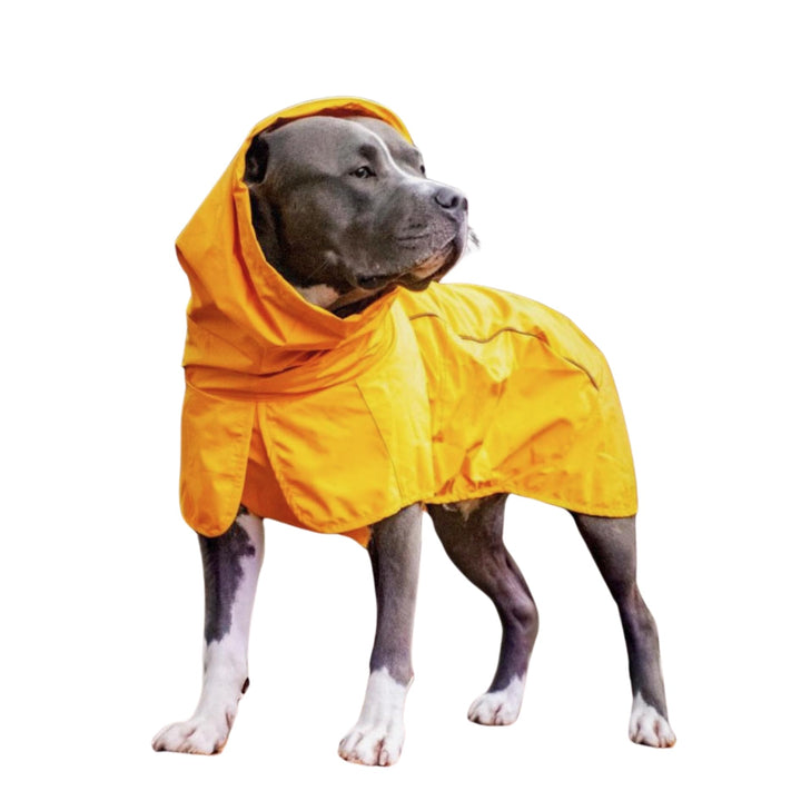 Spark Paws Hunderegenmantel, wasserdichte Winddichte Regenjacke, für kleine, mittlere, grosse und ex