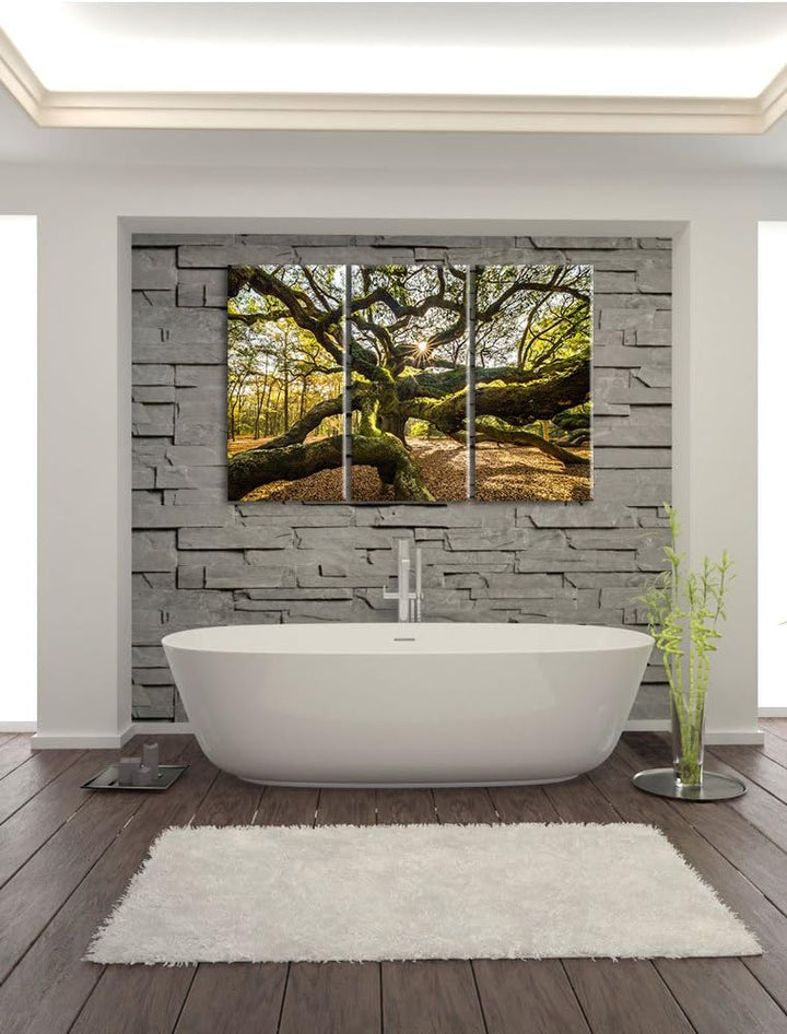 Pixxprint gigantisch verzweigter Baum als Leinwandbild | Grösse: 3 Teilig (120x80) | Wandbild| Kunst