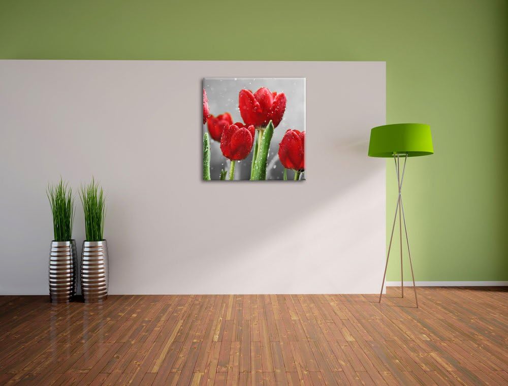Pixxprint Rote Tulpen mit Tropfen bedeckt Schwarz/Weiss, Format: 70x70 auf Leinwand, 70x70