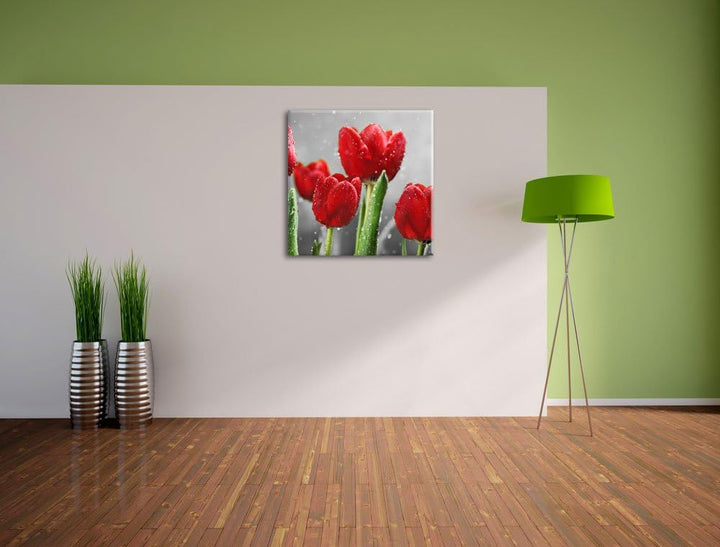 Pixxprint Rote Tulpen mit Tropfen bedeckt Schwarz/Weiss, Format: 70x70 auf Leinwand, 70x70