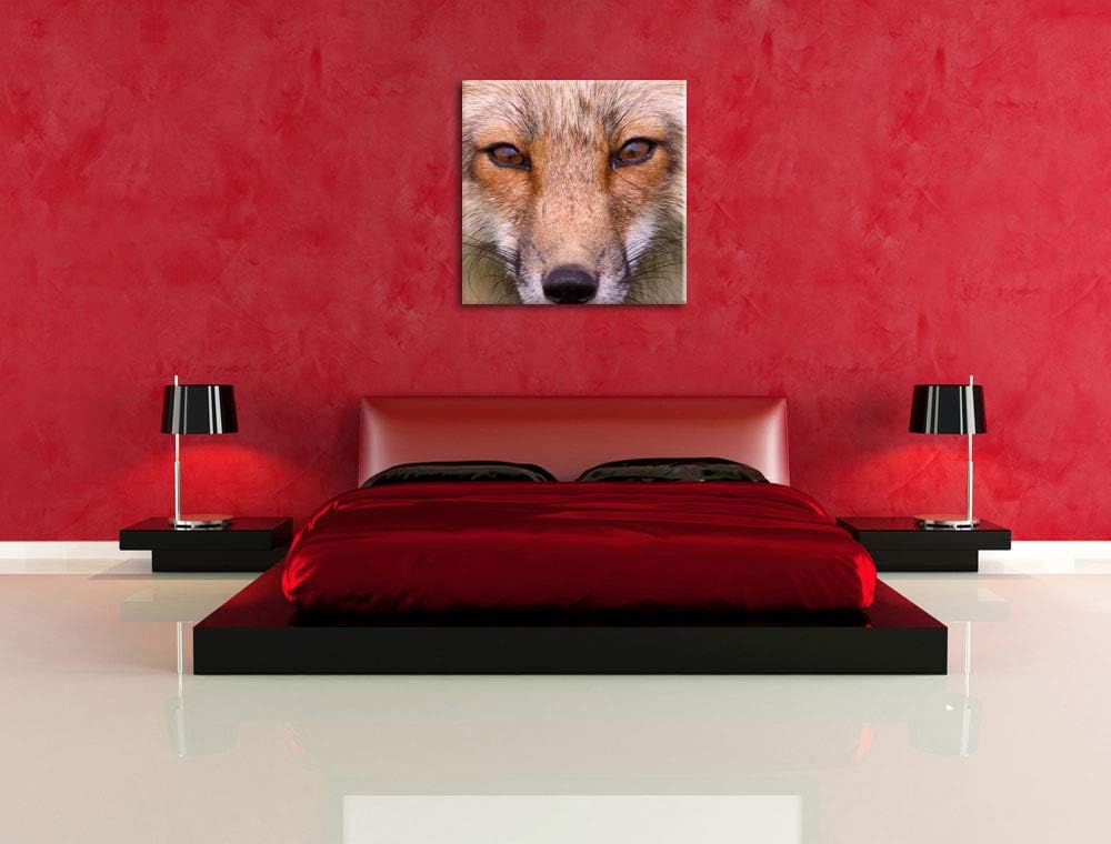 Pixxprint Fuchs Porträt, Format: 70x70 auf Leinwand, XXL riesige Bilder fertig gerahmt mit Keilrahme