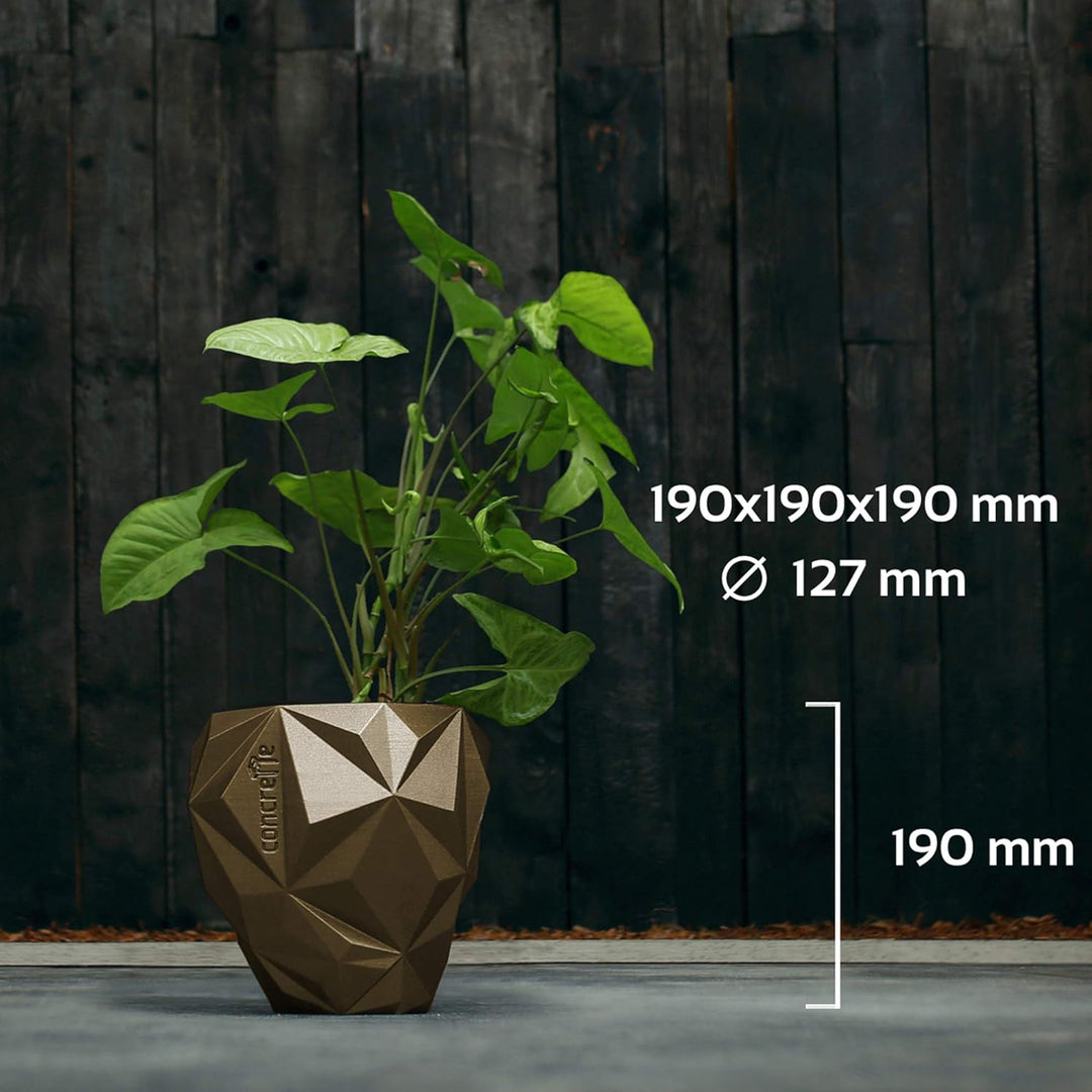 CONCRETTE Blumentopf Blumenkübel Zement-Pflanzkübel Übertopf aus Beton Geometric Ø 13 cm/Ø 19 cm/Ø 2
