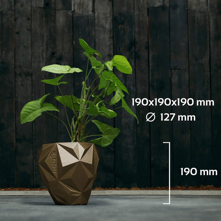 CONCRETTE Blumentopf Blumenkübel Zement-Pflanzkübel Übertopf aus Beton Geometric Ø 13 cm/Ø 19 cm/Ø 2