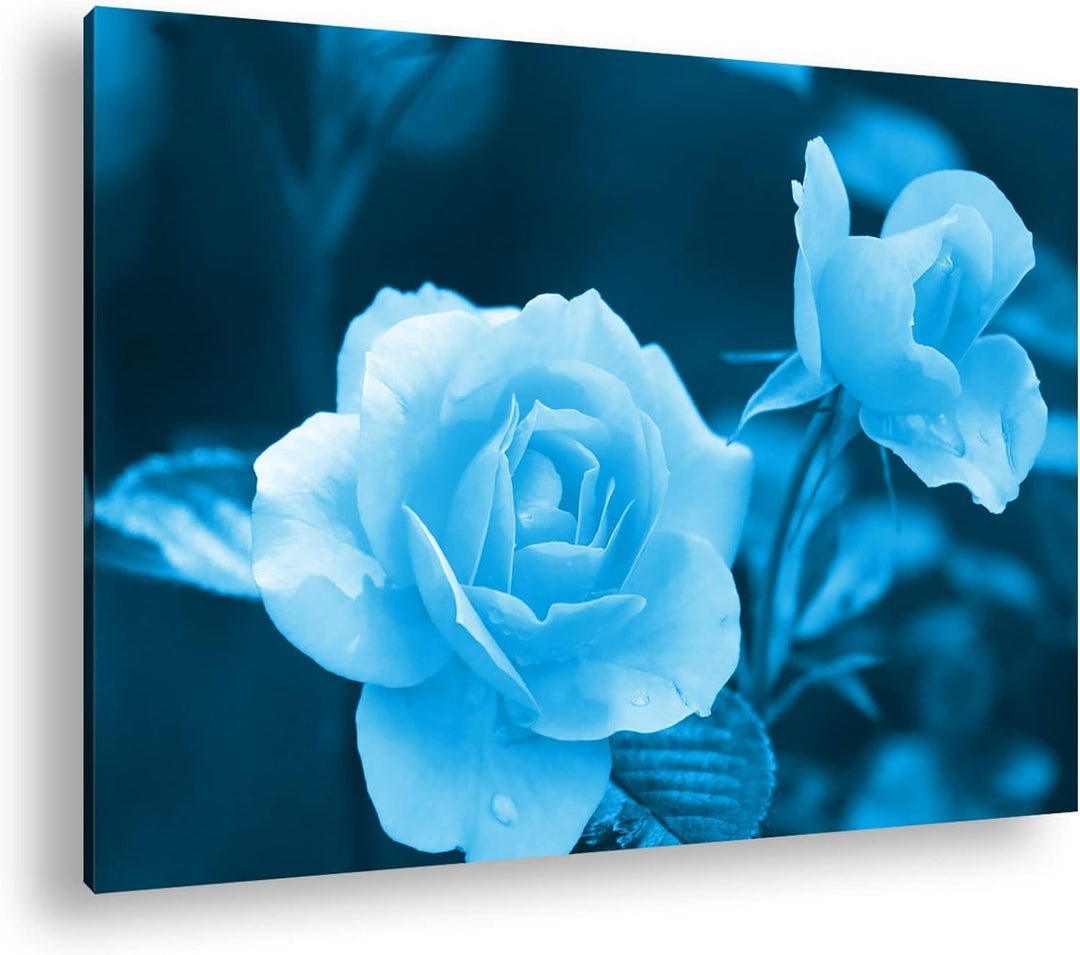 deyoli schöne orangene Blumen Format 80x60 Effekt: Monocrome Blau als Leinwandbild, Motiv fertig ger