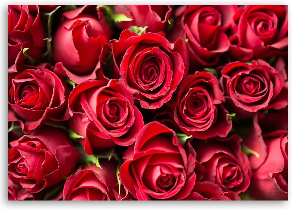 Feeby Vlies Leinwandbild Roses Komposition 80x60 cm Wand Bild Kunstdruck Deko Wohnzimmer Wohnungs De