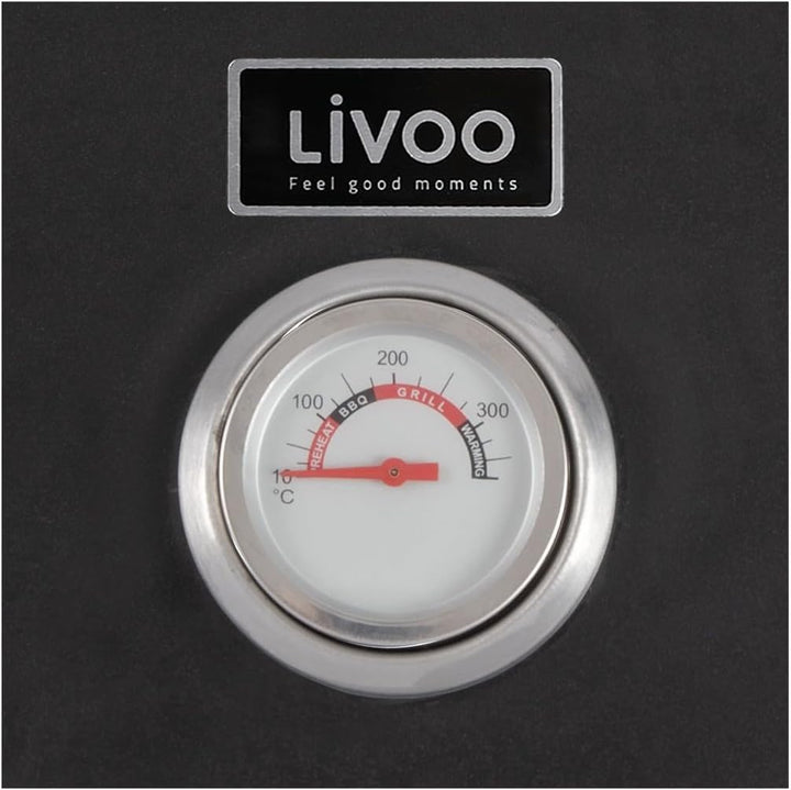 Pizzaofen zum grillen - GS149