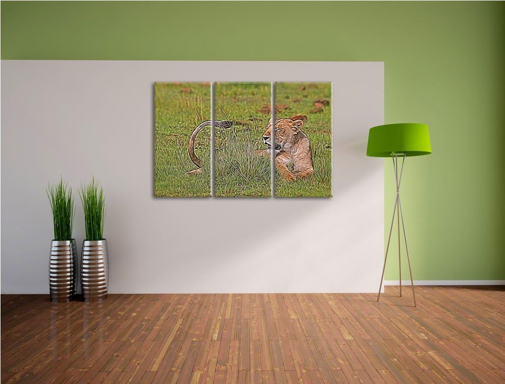 Löwin entspannt im Gras NewArt 3-Teiler Leinwandbild 120x80 Bild auf Leinwand, XXL riesige Bilder fe