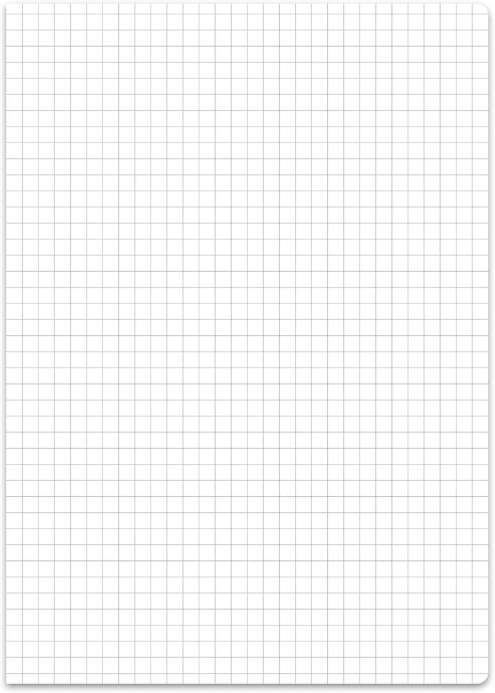 Staufen premio Schulblock - 5 Hefte je 50 Blatt, DIN A4, Lineatur 22 (5 mm kariert), 4-fach Lochung,
