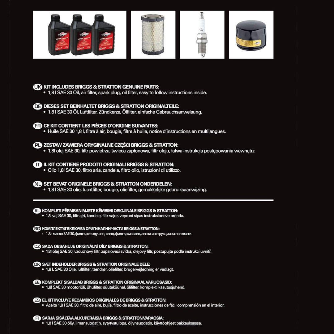 Briggs & Stratton Motorpflege-Kit Modell 31, Series 4 Intek I/C OHV, 31R7, 31R8, 31R9 Model 31, Mode