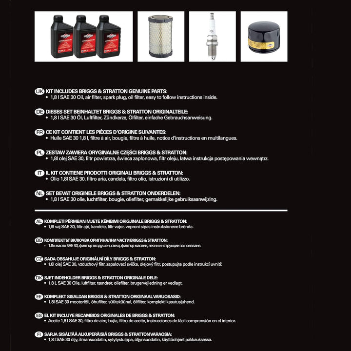 Briggs & Stratton Motorpflege-Kit Modell 31, Series 4 Intek I/C OHV, 31R7, 31R8, 31R9 Model 31, Mode