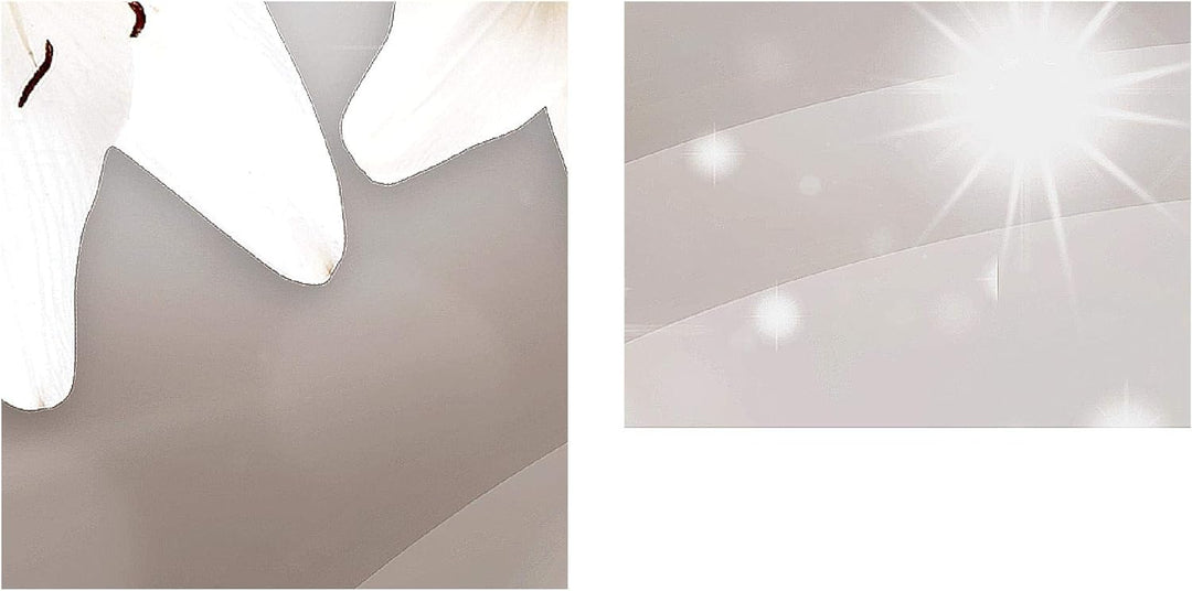 Runa Art Wandbild XXL Blumen Lilien Wohnzimmer Schlafzimmer 200 x 80 cm Beige Braun 5 Teilig - Made