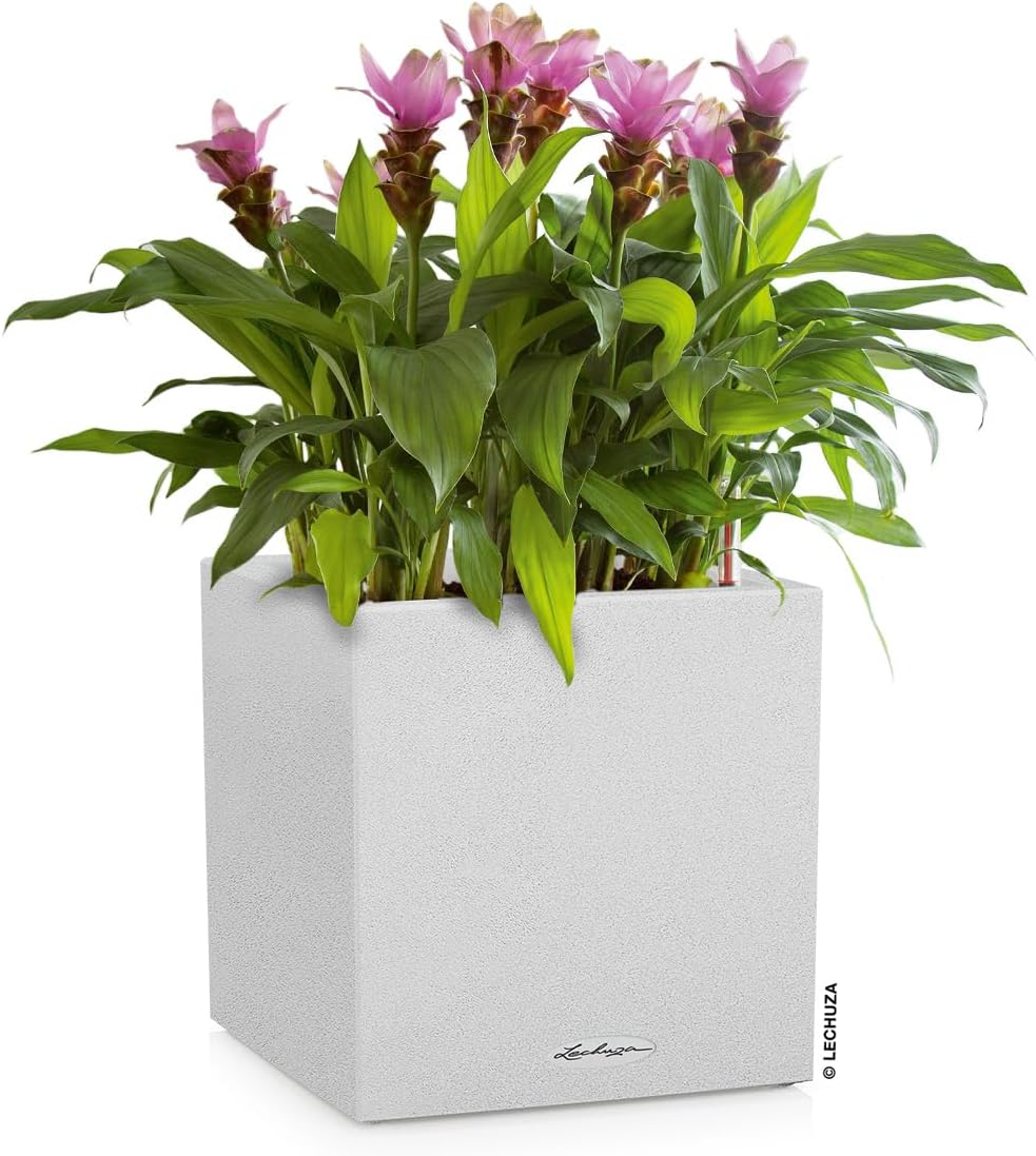 Lechuza Canto Stone 30 Low Komplettset quarzweiss 30x30x30 cm Quarzweiss, 30x30x30 cm Quarzweiss
