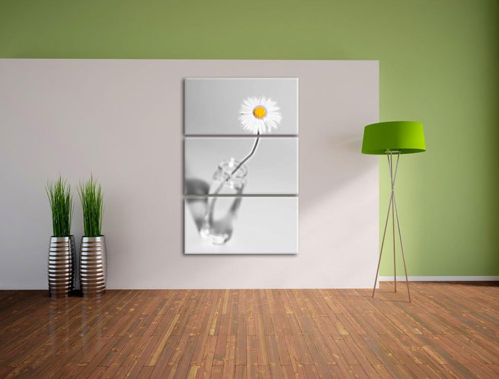 zartes Gänseblümchen im stilvollen Glas schwarz/weiss Deluxe 3-Teiler Leinwandbild 120x80 Bild auf L